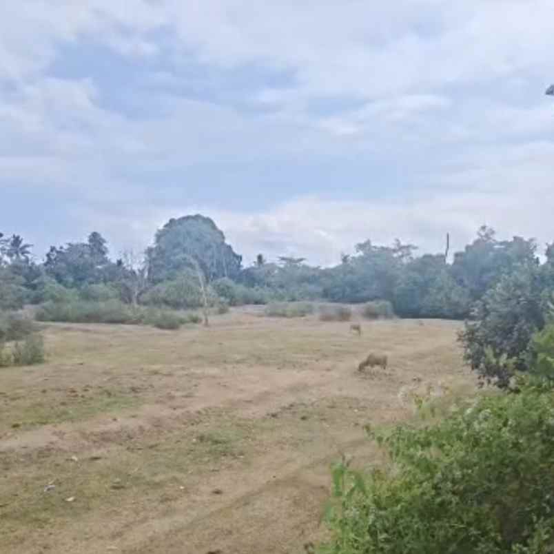 dijual 38 are jl bypass bagus mantra temesi gianyar