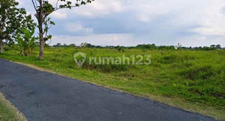 dijual cepat tanah sawah tlobong delanggu klaten