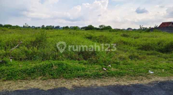 dijual cepat tanah sawah tlobong delanggu klaten