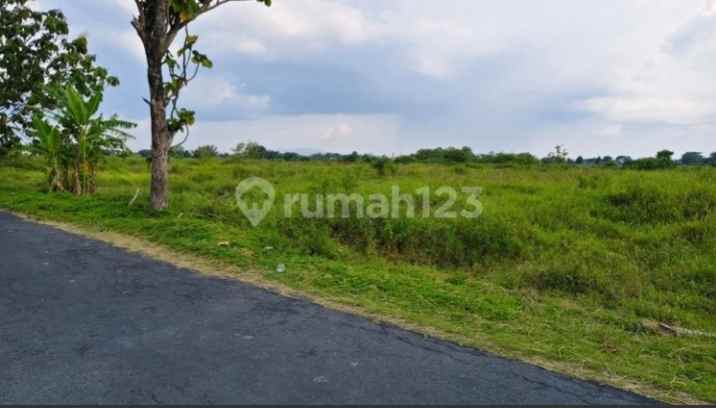 dijual cepat tanah sawah tlobong delanggu klaten