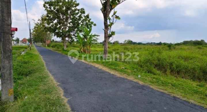 dijual cepat tanah sawah tlobong delanggu klaten