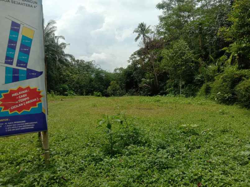 dijual kavling sawah hanya 100 jutaan di mungkid