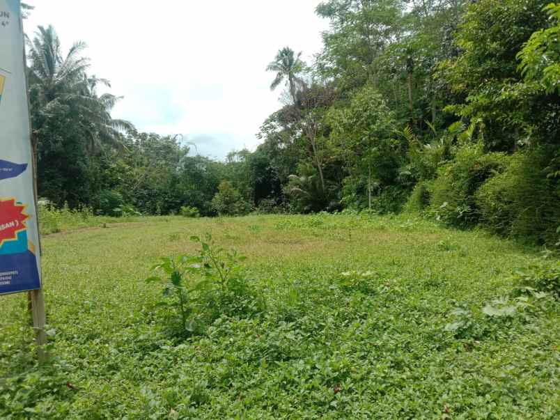 dijual kavling sawah hanya 100 jutaan di mungkid