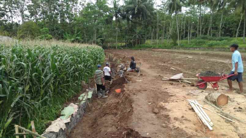 dijual kavling sawah hanya 100 jutaan di mungkid