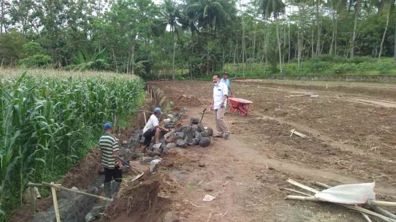 dijual kavling sawah hanya 100 jutaan di mungkid