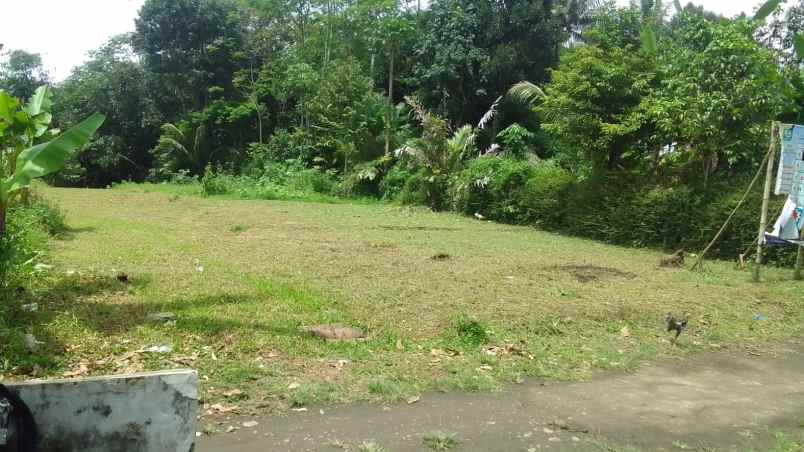 dijual kavling sawah hanya 100 jutaan di mungkid