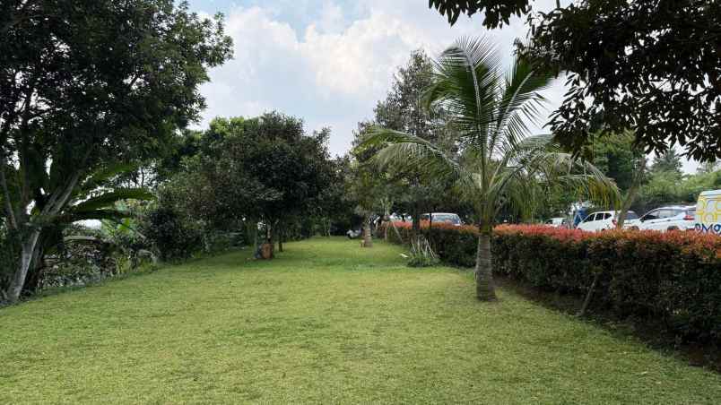 dijual kebun durian sudah berbuah di cijeruk bogor