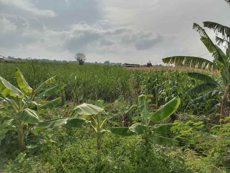 dijual lahan di nol jalan raya sooko mojokerto kota