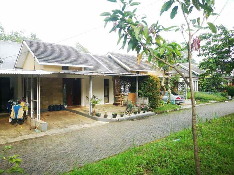 dijual rumah bogor utara