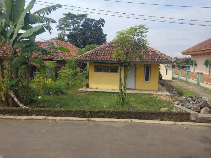 dijual rumah halaman luas pinggir jl desa