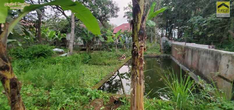 dijual rumah jl panawuan cigandamekar