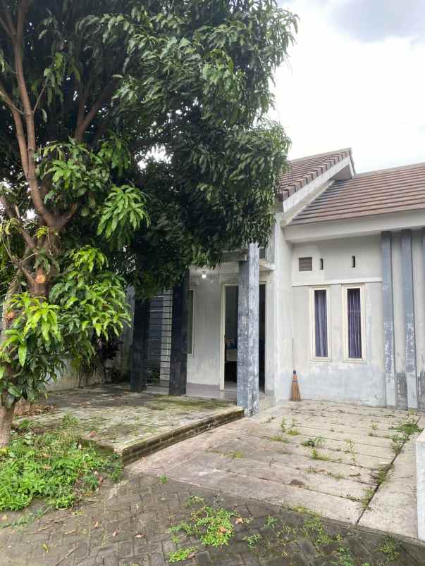 dijual rumah lawang malang