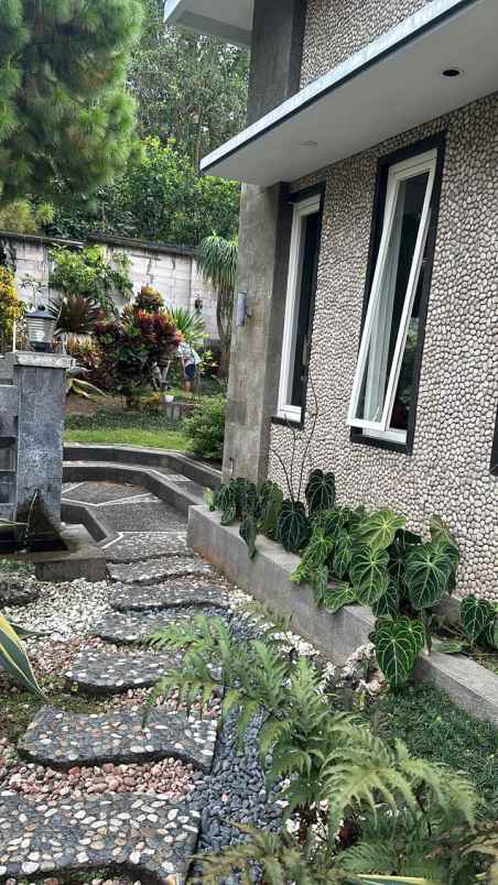 dijual rumah lobanyu pencalukan