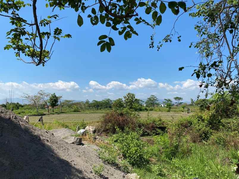 dijual rumah nglingi klaten selatan klaten