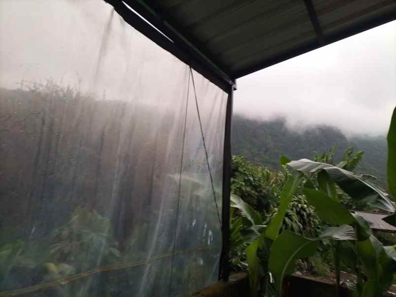 dijual rumah pancasari buleleng bali