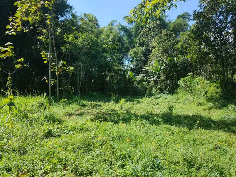 dijual rumah panderman hill