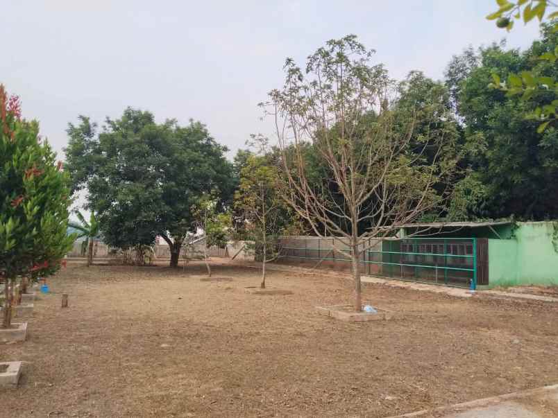 dijual rumah pendopo tanah luas di citalang purwakarta