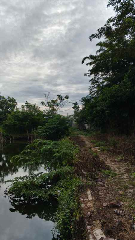 dijual tanah area banjar wijaya poris