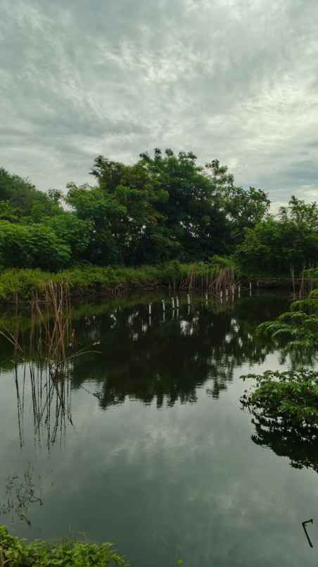 dijual tanah area banjar wijaya poris