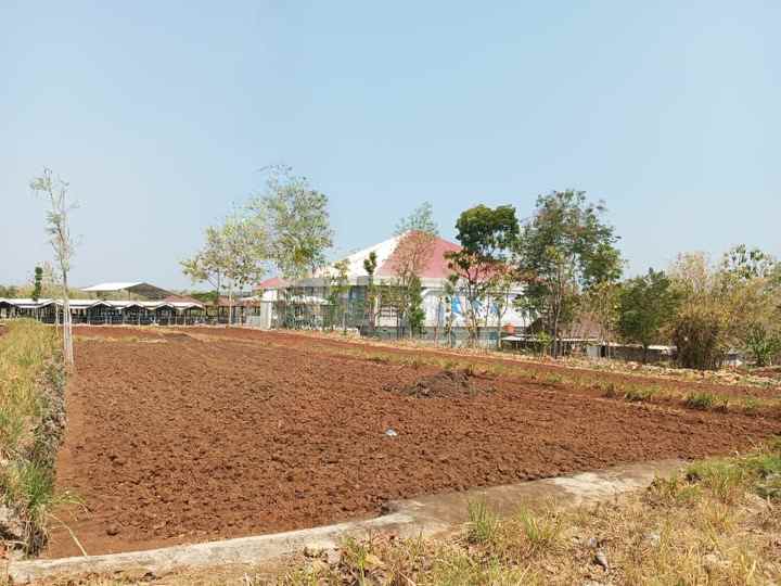 dijual tanah bontang pacarejo kec