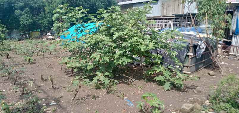 dijual tanah cijaura