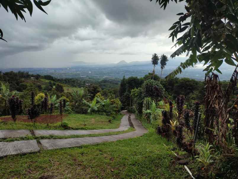 dijual tanah cijeruk tajur halang bogor