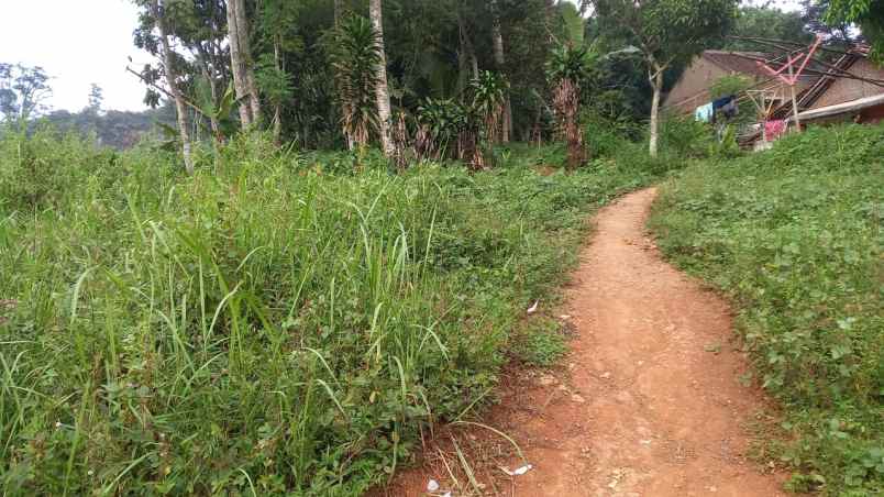 dijual tanah cikancung hilir