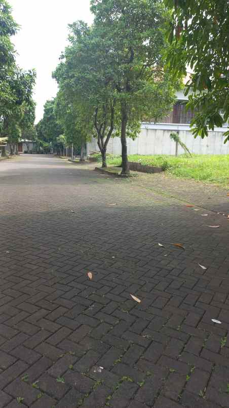 dijual tanah cilandak