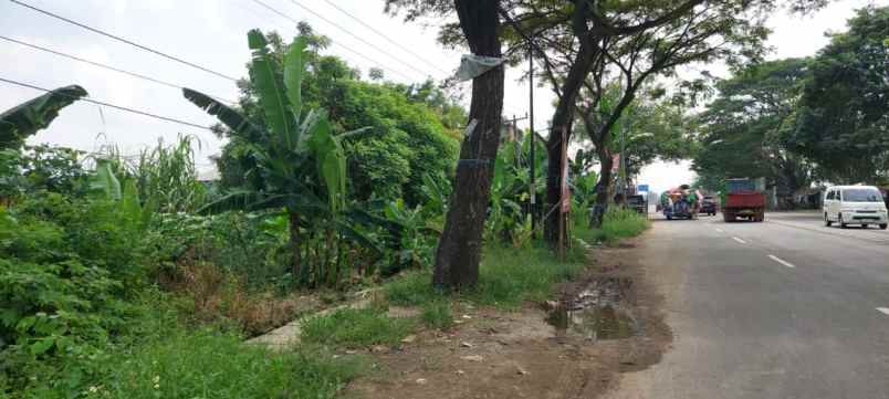 dijual tanah cipayung