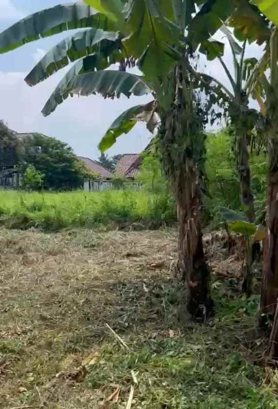dijual tanah citragran cibubur