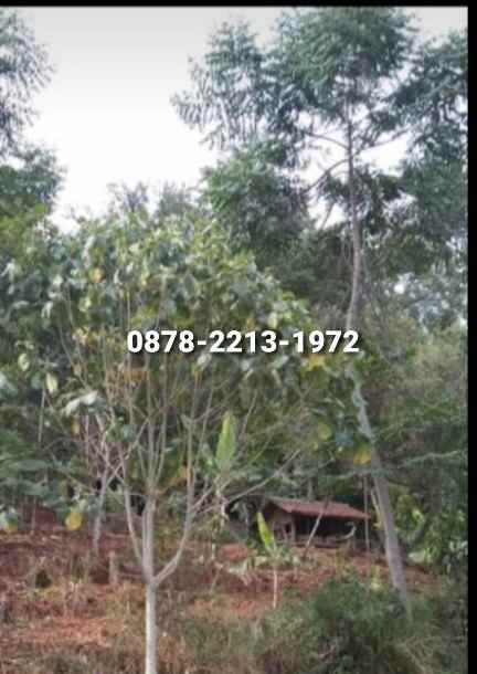 dijual tanah dago giri lembang bandung