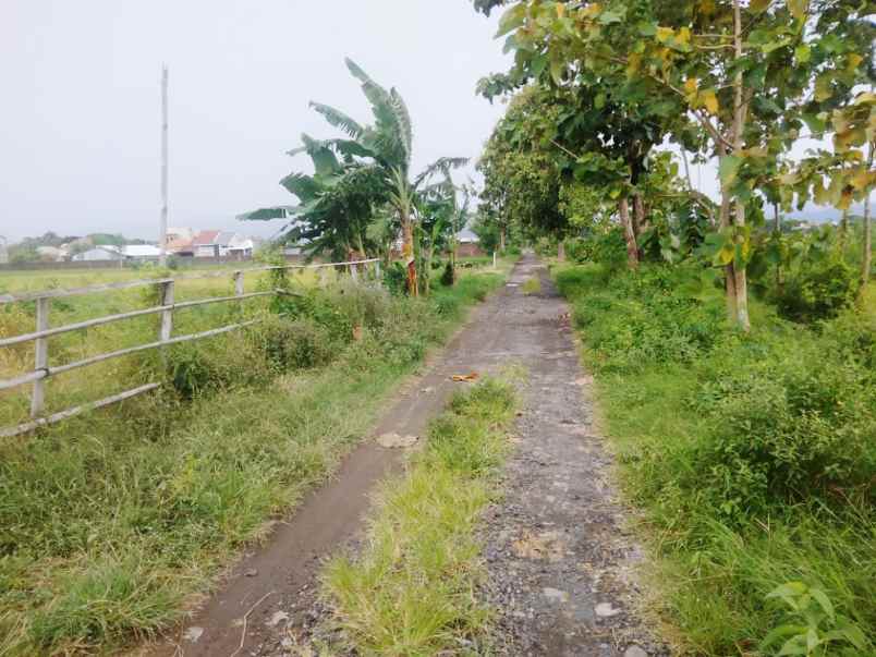 dijual tanah danguran kec klaten