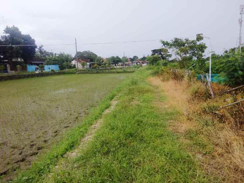 dijual tanah danguran kec klaten