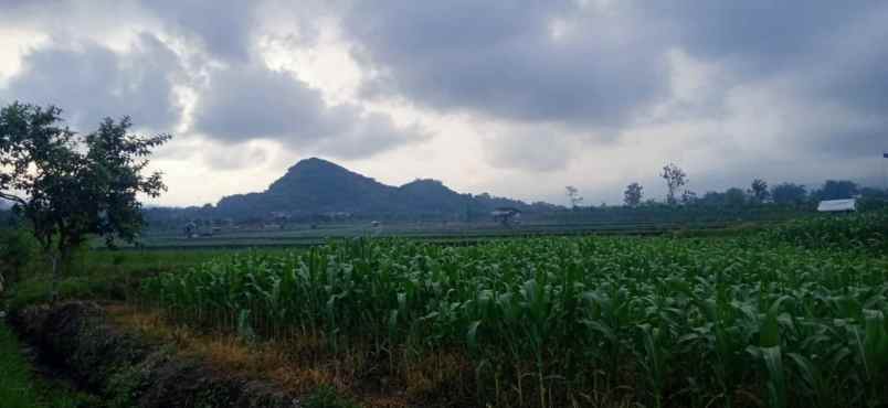 dijual tanah dekat pusdik arhanud