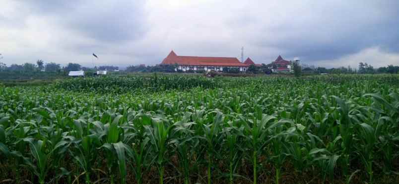 dijual tanah dekat pusdik arhanud