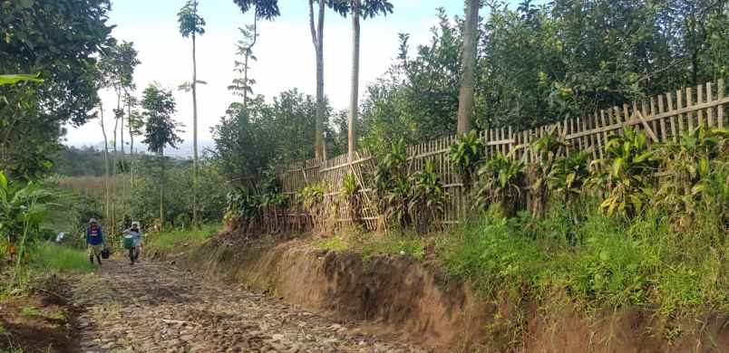 dijual tanah desa sumbergondo