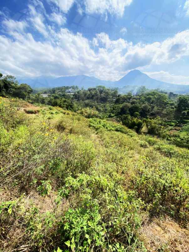 dijual tanah desa tlekung