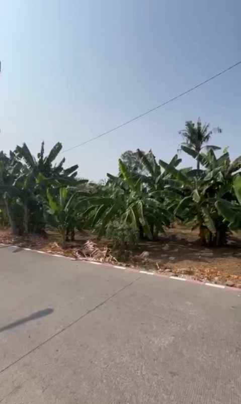 dijual tanah di pedurungan semarang