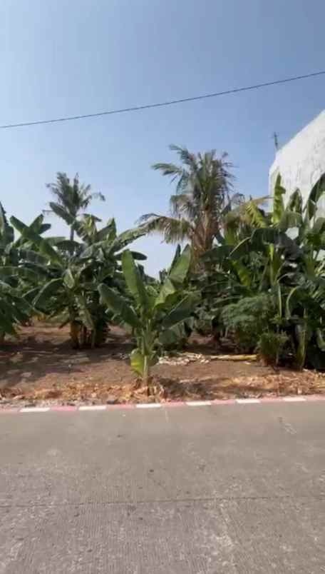 dijual tanah di pedurungan semarang