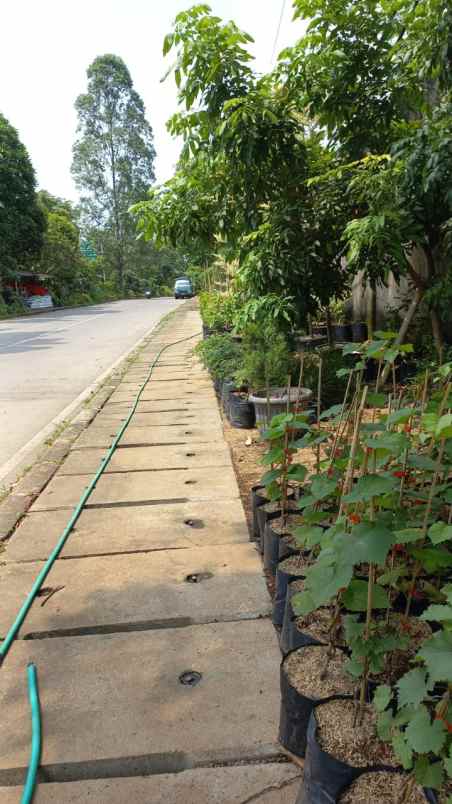 dijual tanah duren sawit