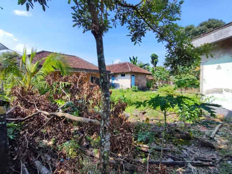 dijual tanah gatak selomartani kec