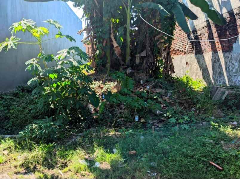 dijual tanah gebang raya