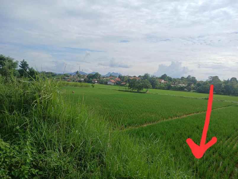dijual tanah graha citalang permai