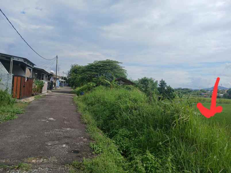 dijual tanah graha citalang permai