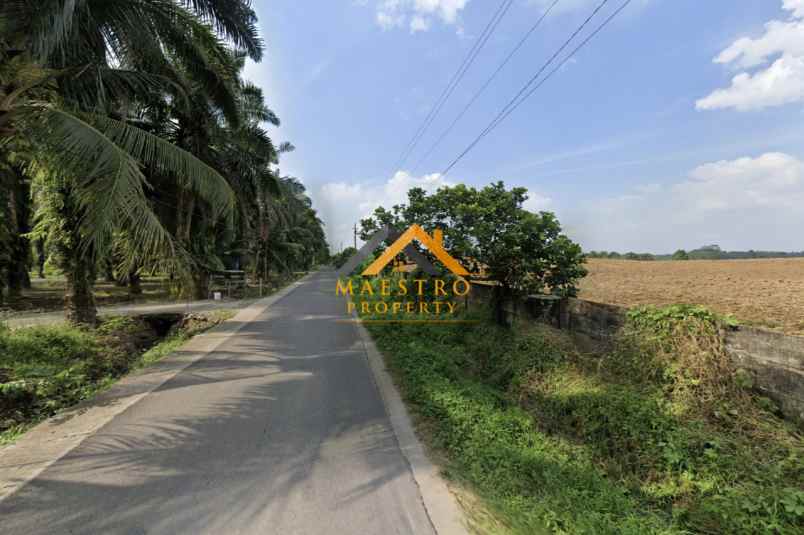 dijual tanah jalan glugur rimbun pasar x