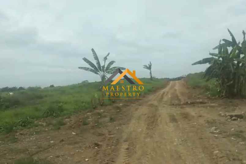 dijual tanah jalan glugur rimbun pasar x