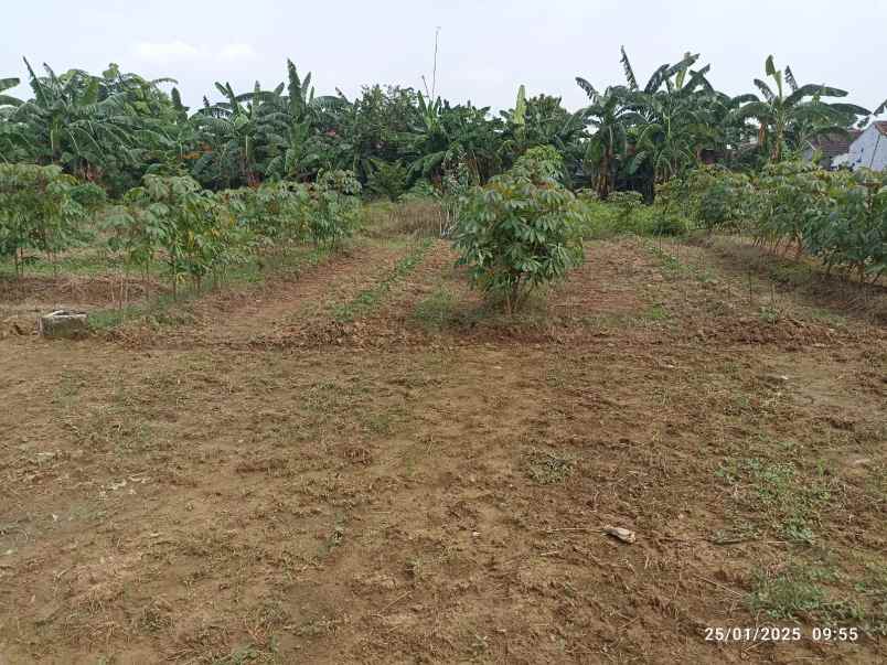 dijual tanah jalan kong isah