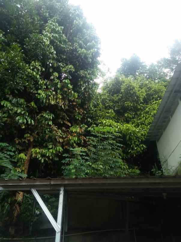 dijual tanah jalan raya warung peuteuy