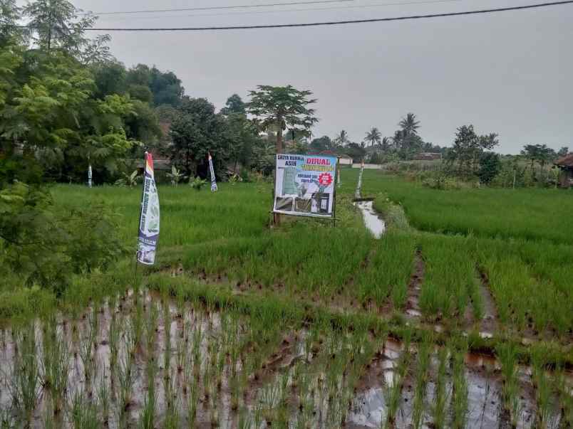 dijual tanah jalan sadang neglasari