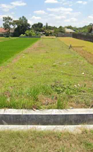 dijual tanah jl candi sambisari